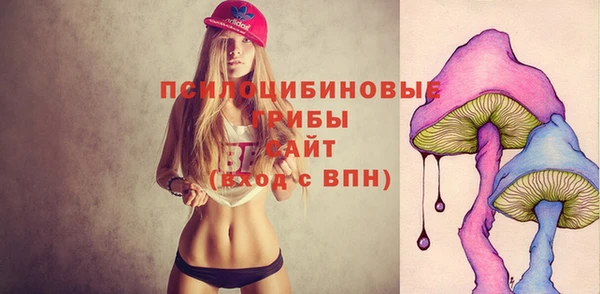 ГАЛЛЮЦИНОГЕННЫЕ ГРИБЫ Верхнеуральск